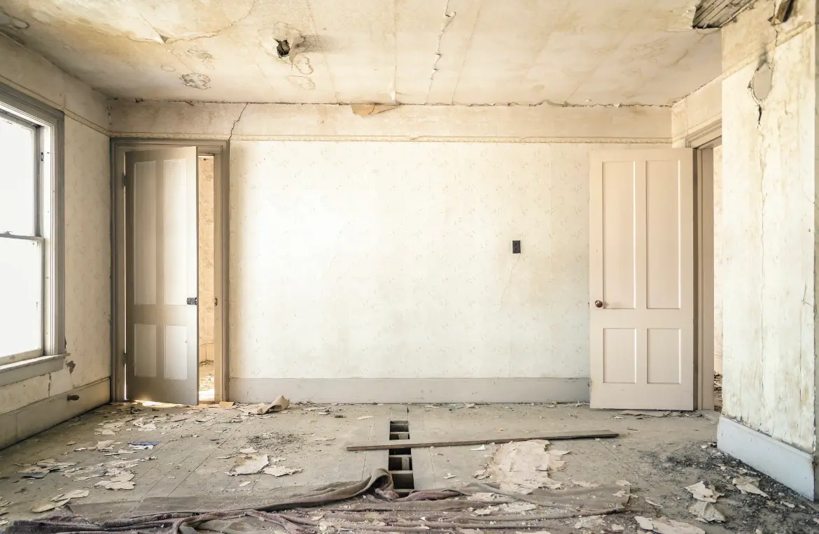 Waste disposal crew managing a cleanout project in Rochelle